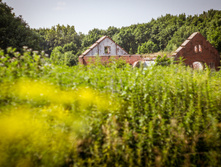 20130706-DSC01735.jpg