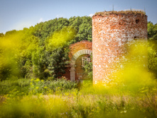 20130706-DSC01744.jpg