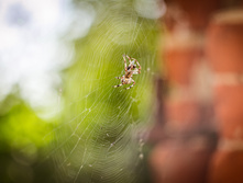 20130706-DSC01794.jpg