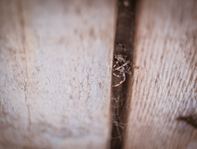 20130706-DSC01798.jpg