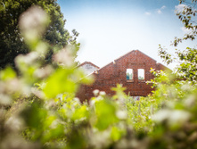 20130706-DSC01804.jpg