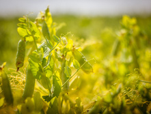 20130706-DSC01827.jpg