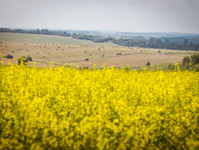 20130706-DSC01868.jpg