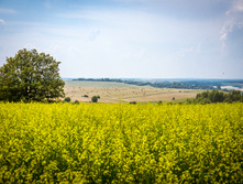 20130706-DSC01888.jpg