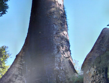 IMAG0575.jpg