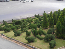 IMAG1158.jpg