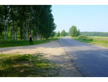 DSCF1419.JPG