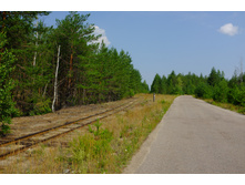 DSCF1454.JPG