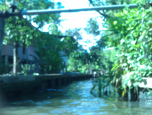 IMAG0741.jpg