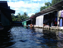 IMAG0752.jpg