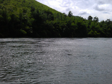 IMAG0839.jpg