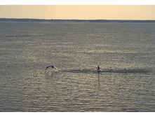 IMG_20130707_131047_NR.jpg