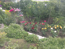 08072013298.JPG
