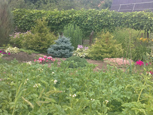 08072013299.JPG