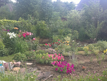 08072013305.JPG