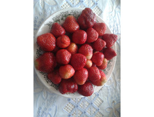 20130619_130657.jpg