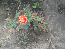 20130627_161319.jpg