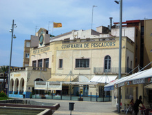 IMG 492.JPG