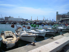 IMG 503.JPG