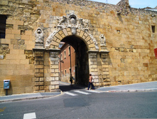 IMG 516.JPG