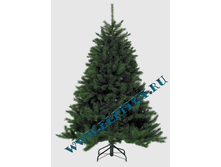 ���� ������ ��������� (Forest Frosted) 155 ��_4397 ���.gif