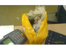 IMAG1367.jpg