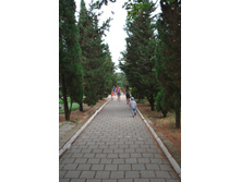 �� 2013 585.jpg
