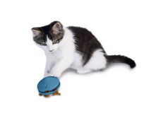 ������������� ������� ��� ����� Funkitty™ Twist \'n Treat™ 125���