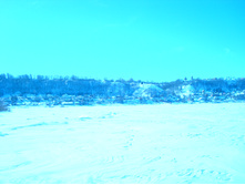 DSC02725.JPG