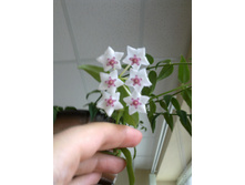 13062012163.jpg