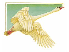 d9ef6b4af2766d425bb62d7590f18c5f.jpg