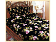 bigpic4380.jpg