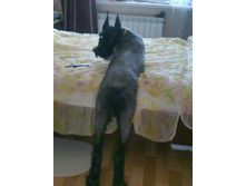 �� �� ���� � �� �������, � ������ ��� ��� ������������...