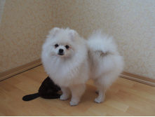 DSCN1441.JPG