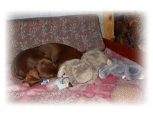 DSCN3413.JPG