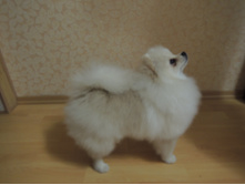 DSCN1456.JPG