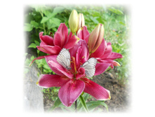 DSCN3437.JPG