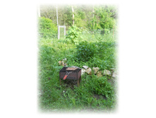 DSCN3439.JPG