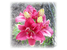 DSCN3441.JPG
