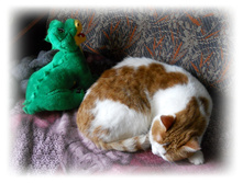 DSCN3461.JPG