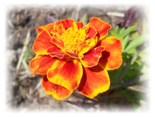 DSCN3483.JPG