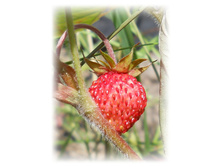 DSCN3486.JPG