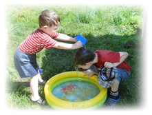 DSCN3489.JPG