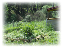 DSCN3491.JPG