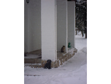 IMG 035.JPG