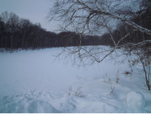 IMG 049.JPG