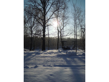 IMG 099.JPG