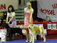 55442388-img_6543.jpg