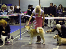55442324-img_6535.jpg