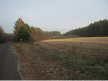 IMG_3434.jpg